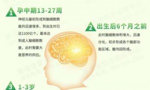 智倍佳藻油DHA—科学新配比，领航新选择！